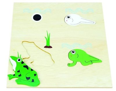 【劍聲幼教拍賣】【青蛙的成長拼圖】兒童玩具、教具、幼稚園、托兒所