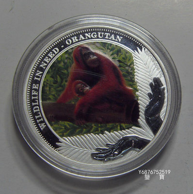 【鑒 寶】（外國錢幣） 圖瓦盧 2011年 1元 野生動物保護2大猩猩 紀念 1盎司 彩色 大銀幣 BTG1528