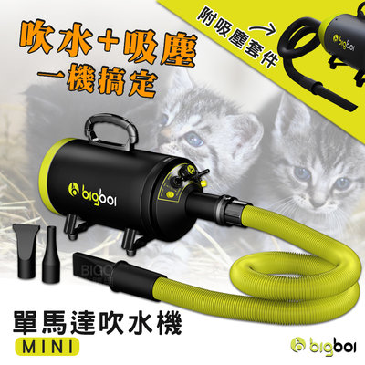 附吸塵配件☆bigboi MINI單馬達吹水機 吹毛機 溫控吹乾 簡易吸塵器 寵物美容 寵物清潔 寵物店