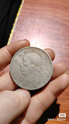 #袁大頭 銀元一枚，保真銀可翻面，重量26.7克，1840