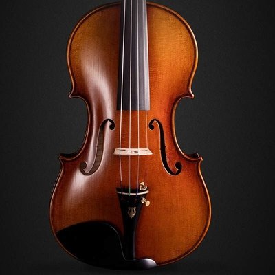 現貨 進口歐料意大利小提琴演奏級獨奏樂器小提琴專業級兒童手工制作~可開發票特賣