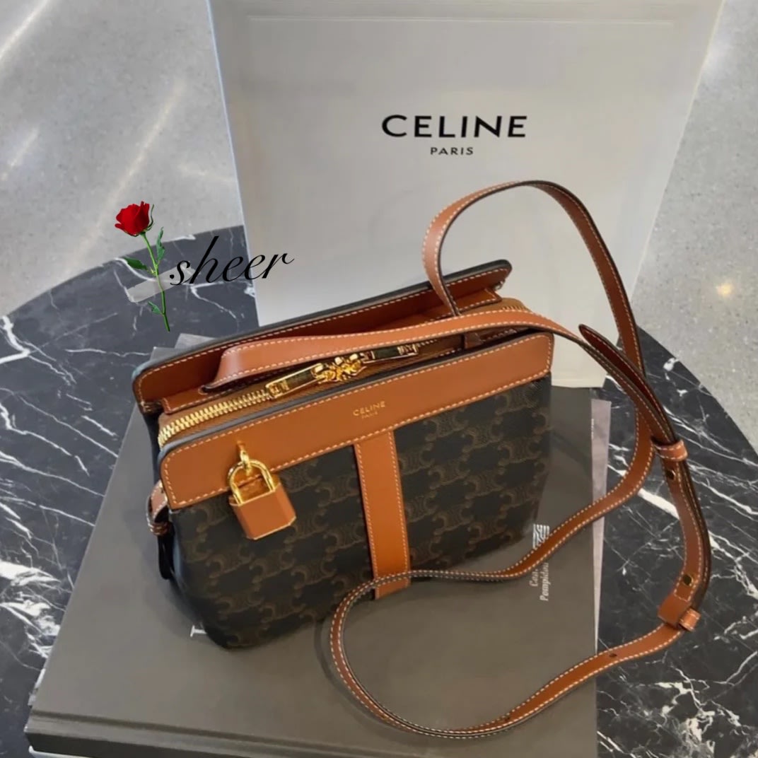 Celine Teen Cabas De France In Triomphe Canvas And Calfskin in Brown