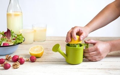 “正品”以色列Peleg Design 檸檬手動榨汁機 創意噴水壺榨汁機