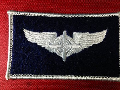 【布章。臂章】空軍空白絨布胸章徽章/布章 電繡 貼布 臂章 刺繡
