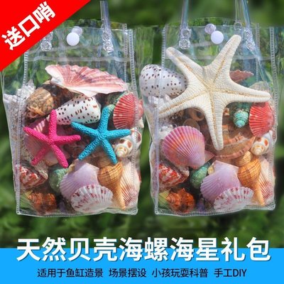 天然貝殼海螺殼擺件海星貝殼魚缸水族箱地臺造景玩~定價~特價