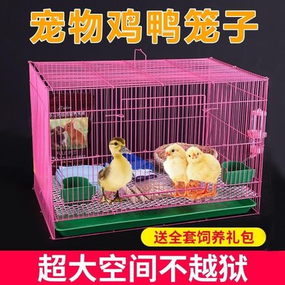 熱銷現貨-2022柯爾鴨籠子可愛防噴尿養小雞的窩寵物小鴨子圍欄雞鴨鵝專用飼