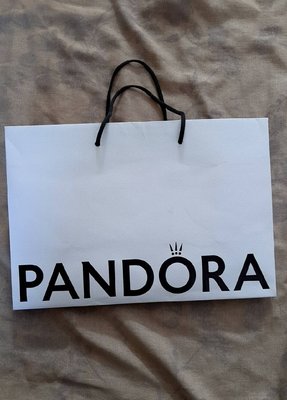 【紫晶小棧】pandora 潘朵拉 商品紙袋 手提紙袋 包裝用品 禮物帶 收藏 (有1款)