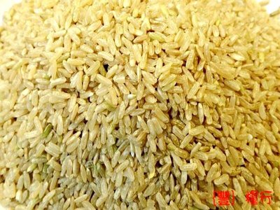 ｛豐｝糧行 花蓮富里糙米（600公克）長糙米 雜糧米
