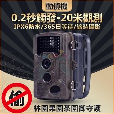 【ES資訊 】贈128G卡 HD1000+ 叢林機 農場 果園 森林無人監控 移動偵測錄影機 動態偵測 紅外線監視器