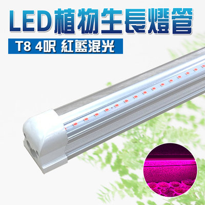 君沛 三入組 燈管系列 T8 一體式燈管 4呎 植物燈 紅藍混光 光譜 植物生長燈 LED燈管
