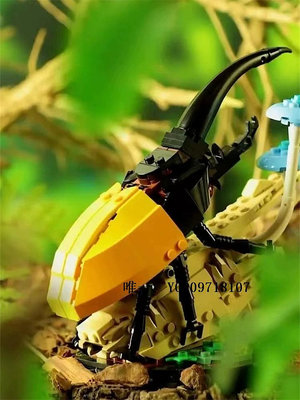 樂高玩具創意昆蟲系列迷你動物蝴蝶螳螂蜜蜂21342男女孩兒童拼裝積木玩具兒童玩具