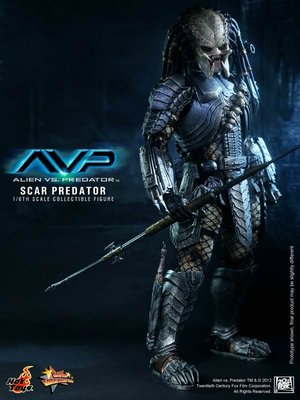 全新 Hot Toys MMS190 1/6 AVP Scar Predator 異形戰場 終極戰士 疤面 刀疤