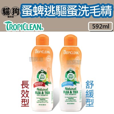 寵到底-美國Tropiclean蚤蜱逃驅蚤犬貓用洗毛精【長效型】20oz(592ml),狗洗澡,貓洗澡,寵物清潔