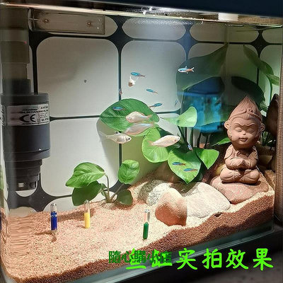 精品led夾子小射燈插電工作燈南美魚缸水族燈飾品展會拍照補光聚光燈