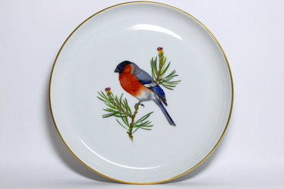 德國古董瓷器 麥森(Meissen) 手繪 紅腹灰雀 Bullfinch 鳥盤