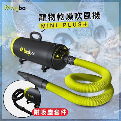 現貨熱銷 bigboi MINI PLUS+ 寵物乾燥吹風機(附吸塵套件) 吸+吹一次搞定 吹水機 乾燥吹風機