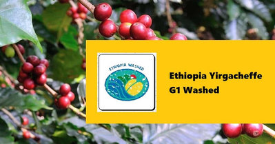 生豆✨5KG｜衣索比亞 耶加雪菲 G2 水洗｜咖啡生豆 COFFEE BEAN