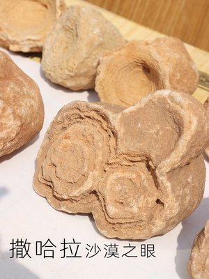 撒哈拉沙漠之眼天然產物礦標經久的歷史沙子石化教學標本原石擺件
