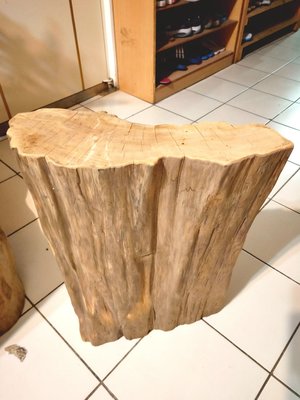 台灣肖楠 原木可做雕刻 擺飾 桌腳 聞香