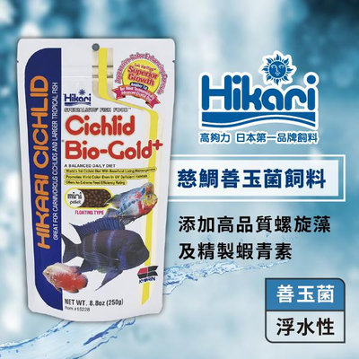 微笑的魚水族☆Hikari-高夠力【慈鯛善玉菌飼料 mini 顆粒/M 顆粒 250g】15228.1532