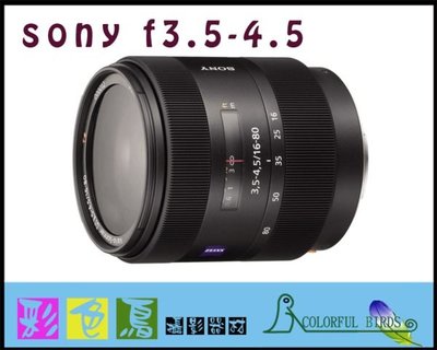 彩色鳥 (相機出租 鏡頭出租 ) Sony DT 16-80mm F3.5-4.5 ZEISS 蔡司鏡