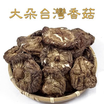 -大朵台灣埔里香菇(一斤裝)- 保證是台灣香菇，大朵便宜又好吃！【豐產香菇行】