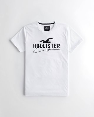 Hollister(HCO) 男生 LOGO GRAPHIC TEE短袖T恤