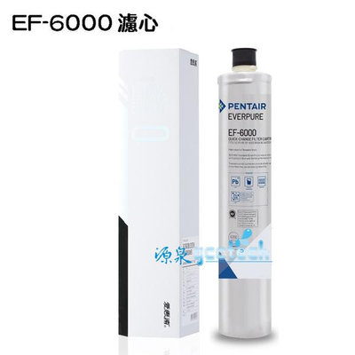 EVERPURE愛惠浦濾芯EF-6000台灣愛惠浦公司貨濕式碳纖活性碳 EF6000濾心