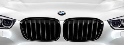 BMW M Performance 原廠 黑色 黑鼻頭 水箱罩 For F45 F46 218d 220i 225i