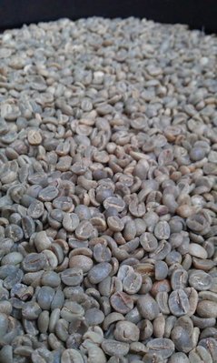 南美龐老爹咖啡 咖啡生豆 坦桑尼亞 吉力馬札羅 Tanzania AA 水洗豆 非洲 熟豆 半磅 柑橘 水果香氣