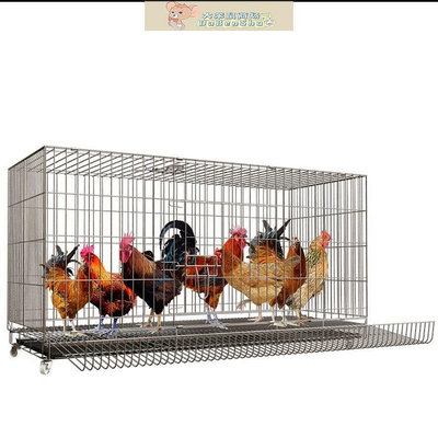鳥籠鴿子籠大型不銹鋼色家用繁殖籠配對籠鴿子用品用具大號雞籠子包郵-大笨鼠商店