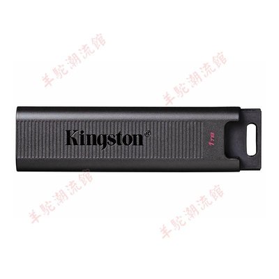 適用金士頓256G/512G/1T USB3.2 超極速固態U盤 DTMAX Type-C
