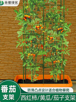 溜溜番茄架子爬藤架蔬菜架桿種菜支撐盆栽庭院固定西紅柿黃瓜種菜支架
