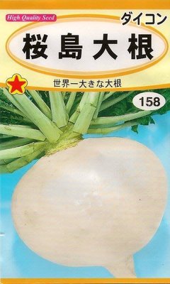 日本進口世界 最大蘿蔔種子100粒50元