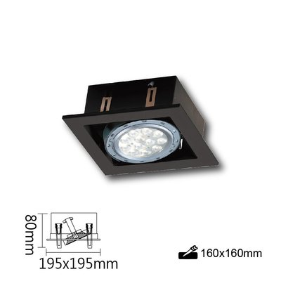舞光 LED AR111 替換式 四角崁燈 四方 方型 盒燈 燈具空台 單燈 DL-31019