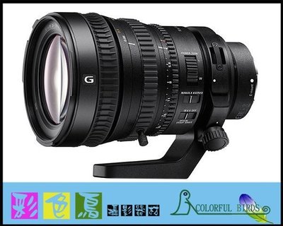 彩色鳥 (租相機 鏡頭) 租 Canon 5D3 Sony A7S Nikon D750 D810 D4S GH4 出租