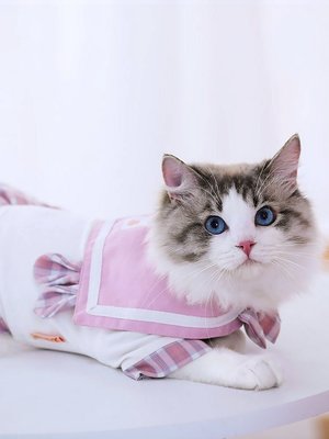 熱銷 貓衣服夏季防掉毛可愛公主裙布偶貓幼貓寵物jk裙夏天貓咪薄款裙子
