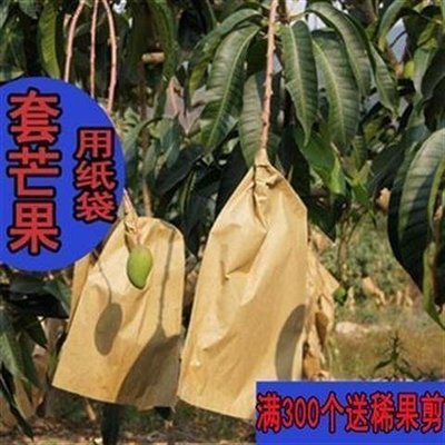 上新 芒果套袋專用袋 芒果專用套袋包芒果袋子 芒果防蟲袋保護芒果紙袋防蟲袋~特賣