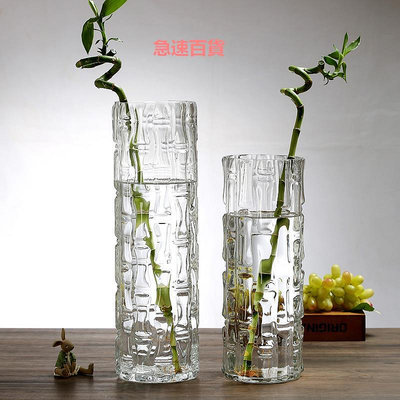 精品特大號落地富貴竹花瓶擺件玻璃透明水養水培直筒家用客廳插花裝飾