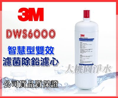 大桃園淨水~3M DWS6000-ST 雙效淨水器/濾水器 第二道 濾菌、除鉛 淨水濾心(DWS6000-C-CN)