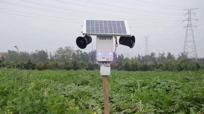現貨 大功率語音超聲波驅鳥器太陽能智能菜園果園魚塘驅鳥神器機場神器 驅鳥器