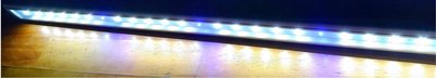 台灣製造#水草專用 LED 省電 高效能# 藍白燈 4尺