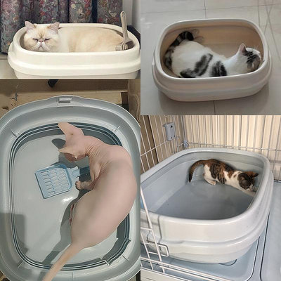 貓砂盆愛麗思半封閉式超大號肥貓貓砂盆貓廁所開放式特大敞開貓沙盆日本