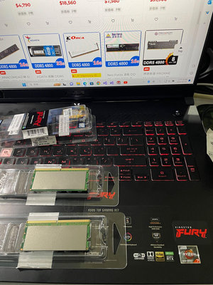 ASUS TUF GAMING A17原廠RAM 8G DDR5 4800MT 電腦升級拆下