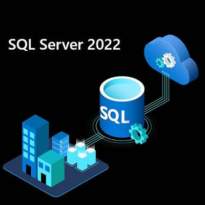 Microsoft SQL Server 2022 Standard Edition Perpetual 1 Server License 標準版 CSP