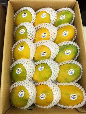 夏雪芒果開採⭐️ 花東縱谷傳奇 夏雪芒果? 台灣唯一有身分證的芒果 每箱15顆 十台斤