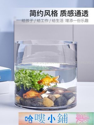 魚缸 創意桌面魚缸 玻璃魚缸花瓶 金魚缸 玻璃 水族箱小型創意生態圓形 圓柱大號烏龜缸 造景培裝飾此款小號規格