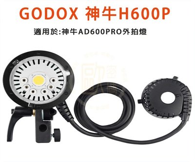 歐密碼 Godox 神牛 AD600PRO-H600P 專用600W手持延長線 AD600PRO系列 AD600PRO