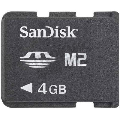 【二手商品】SANDISK MEMORY STICK M2 4GB 記憶卡【台中恐龍電玩】