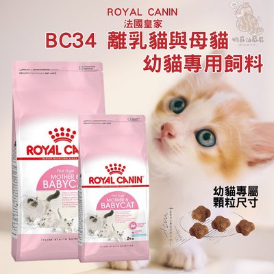 法國皇家 ROYAL CANIN BC34 離乳幼母貓 400g 原廠包裝 貓飼料 幼貓糧 離乳貓 哺乳貓